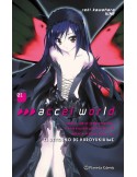 Accel World (novela) nº 01