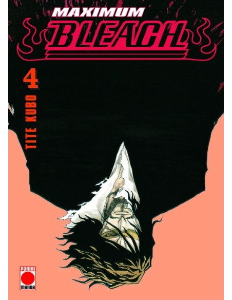 Maximum Bleach 04