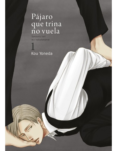 Pájaro que trina no vuela 01