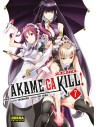 Akame ga kill! Zero 07