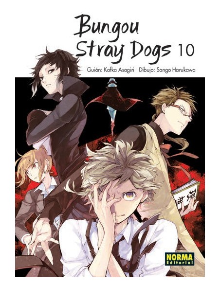 Bungou Stray Dogs 10