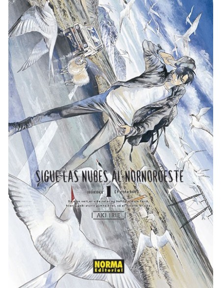 Sigue las nubes al nornoroeste 01