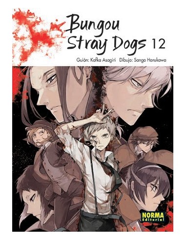 Bungou Stray Dogs 12
