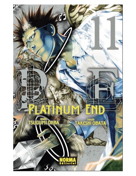 Platinum End 11